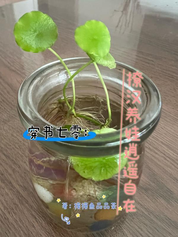 《穿书七零:撩汉养娃逍遥自在》最新章节已更新到第2737章 孙佳静能屈能伸 穿书七零:撩汉养娃逍遥自在